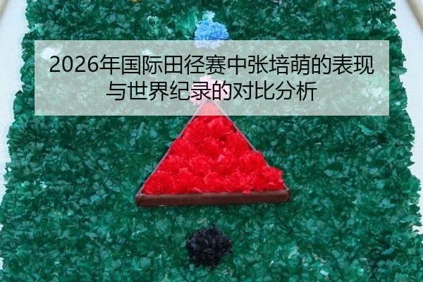 nian-guo-ji-tian-jing-sai-zhong-zhang-pei-meng-de-biao-xian-yu-shi-jie-ji-lu-de-dui-bi-fen-xi-2-793.jpg