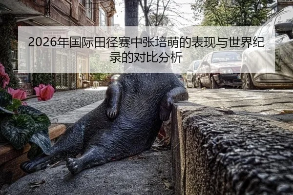 2026年国际田径赛中张培萌的表现与世界纪录的对比分析