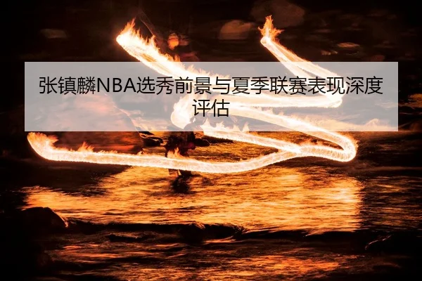 zhang-zhen-lin-xuan-xiu-qian-jing-yu-xia-ji-lian-sai-biao-xian-shen-du-ping-gu-3-223.jpg