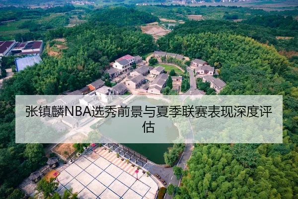 张镇麟NBA选秀前景与夏季联赛表现深度评估