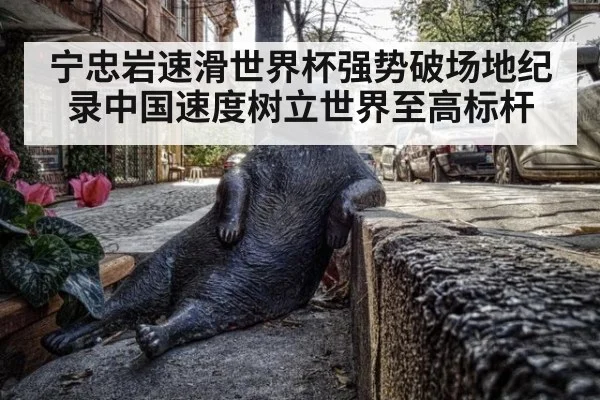 宁忠岩速滑世界杯强势破场地纪录中国速度树立世界至高标杆